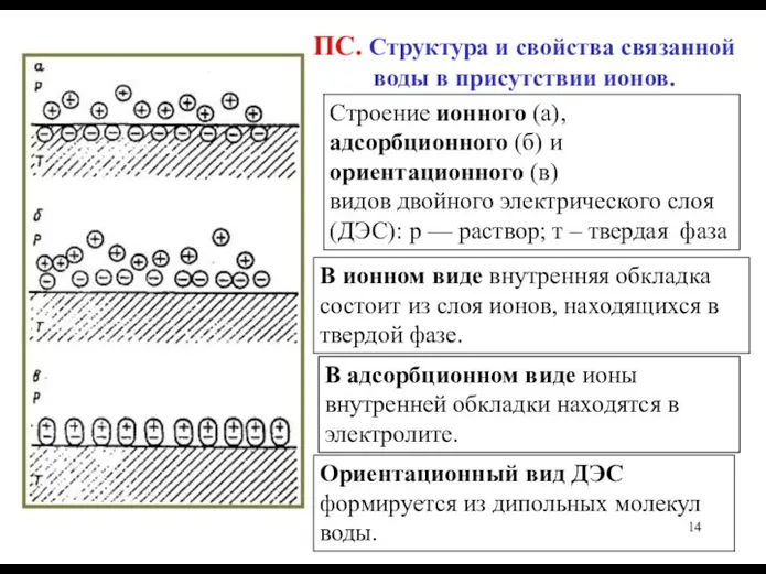 ПС. Структура и свойства связанной воды в присутствии ионов. Строение ионного (а),