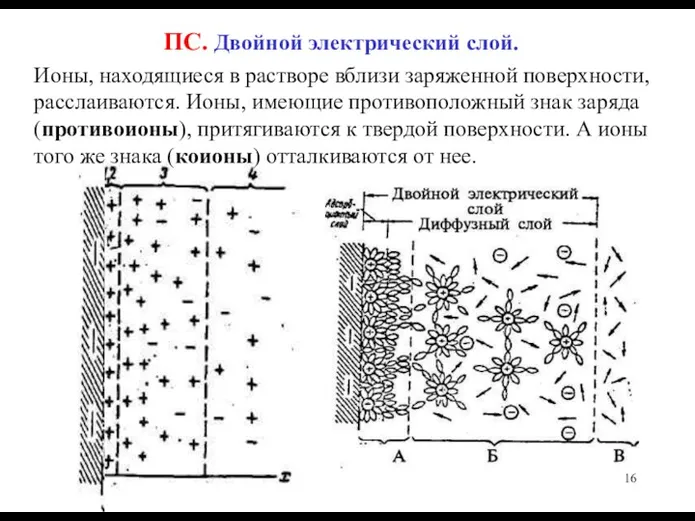 ПС. Двойной электрический слой. Ионы, находящиеся в растворе вблизи заряженной поверхности, расслаиваются.