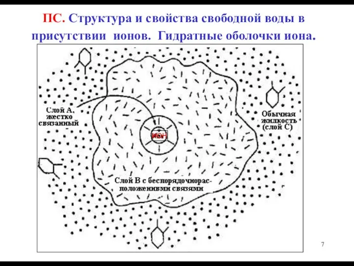 ПС. Структура и свойства свободной воды в присутствии ионов. Гидратные оболочки иона.