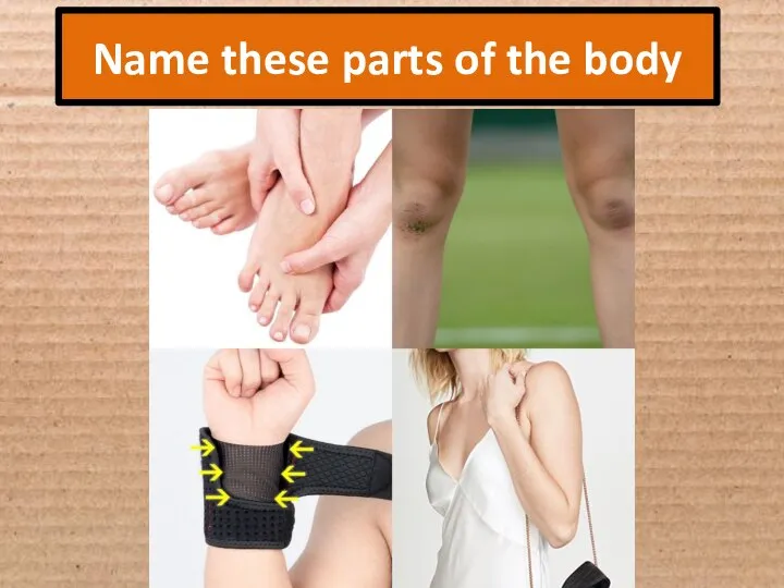 Name these parts of the body