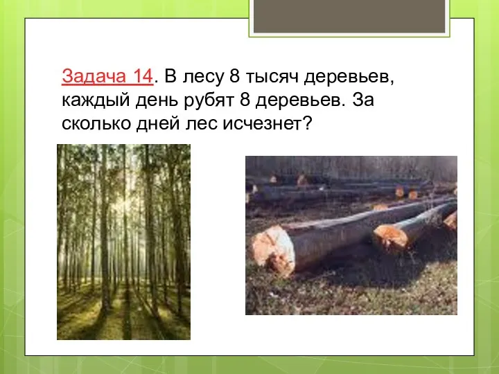 Задача 14. В лесу 8 тысяч деревьев, каждый день рубят 8 деревьев.