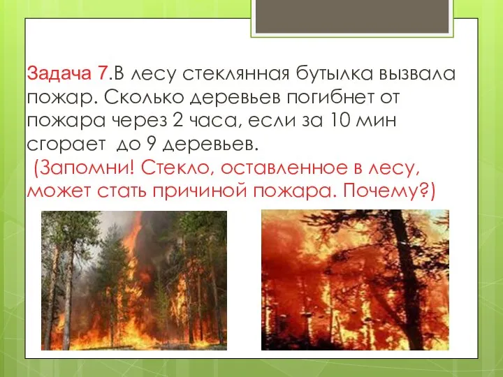 Задача 7.В лесу стеклянная бутылка вызвала пожар. Сколько деревьев погибнет от пожара