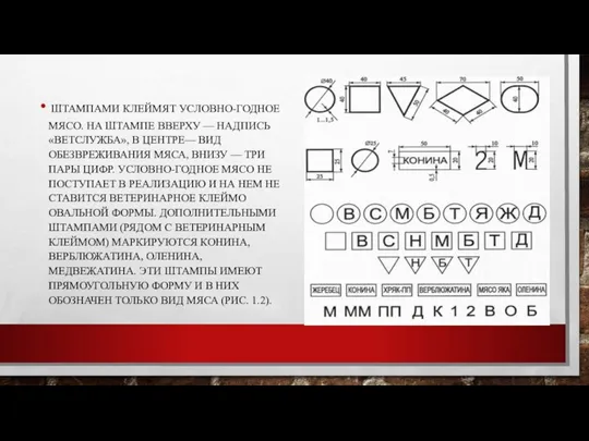 ШТАМПАМИ КЛЕЙМЯТ УСЛОВНО-ГОДНОЕ МЯСО. НА ШТАМПЕ ВВЕРХУ — НАДПИСЬ «ВЕТСЛУЖБА», В ЦЕНТРЕ—