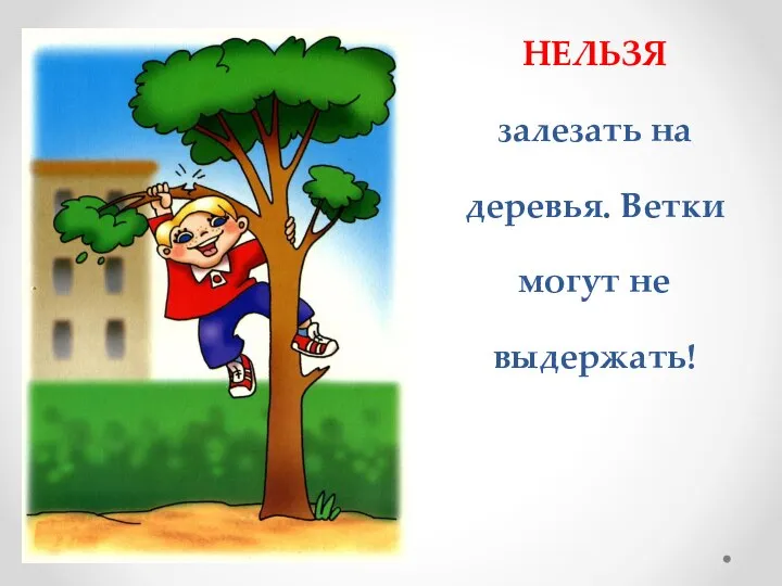 НЕЛЬЗЯ залезать на деревья. Ветки могут не выдержать!