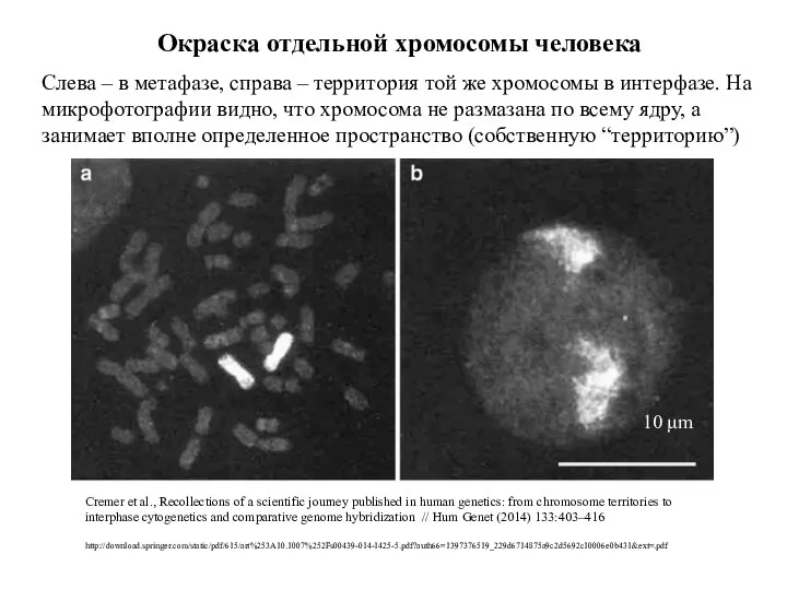 Cremer et al., Recollections of a scientific journey published in human genetics: