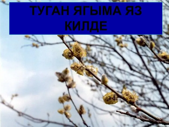 ТУГАН ЯГЫМА ЯЗ КИЛДЕ