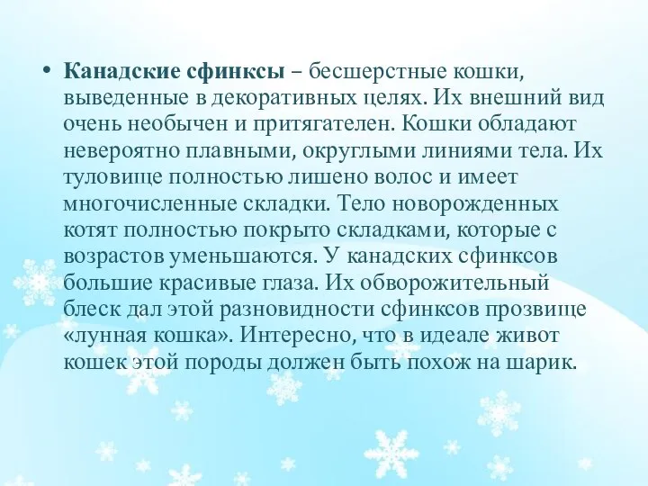 Канадские сфинксы – бесшерстные кошки, выведенные в декоративных целях. Их внешний вид