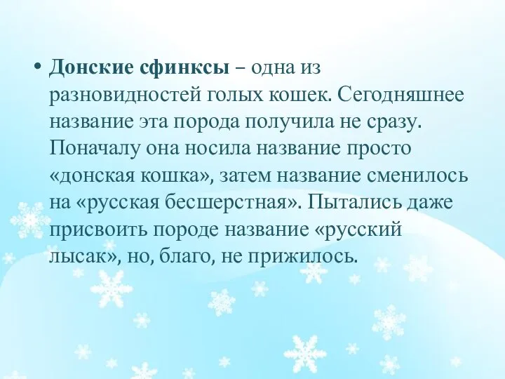 Донские сфинксы – одна из разновидностей голых кошек. Сегодняшнее название эта порода