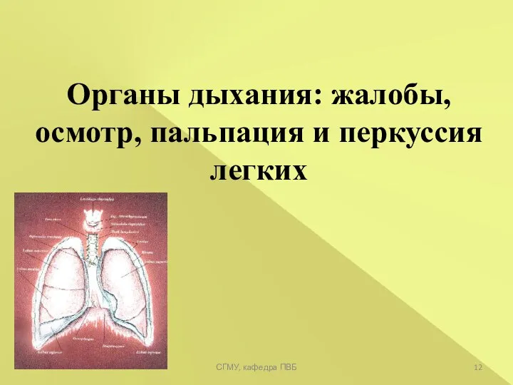 Органы дыхания: жалобы, осмотр, пальпация и перкуссия легких * СГМУ, кафедра ПВБ