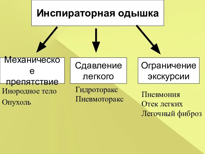 Сдавление легкого Инспираторная одышка Механическое препятствие Ограничение экскурсии Инородное тело Опухоль Гидроторакс