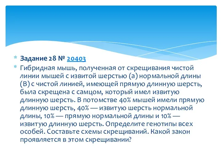 Задание 28 № 20403 Гибридная мышь, полученная от скрещивания чистой линии мышей