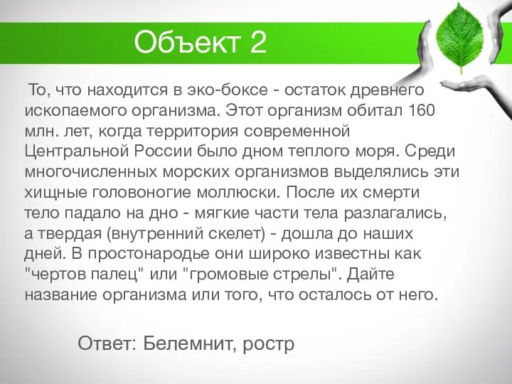 Объект 2 То, что находится в эко-боксе - остаток древнего ископаемого организма.