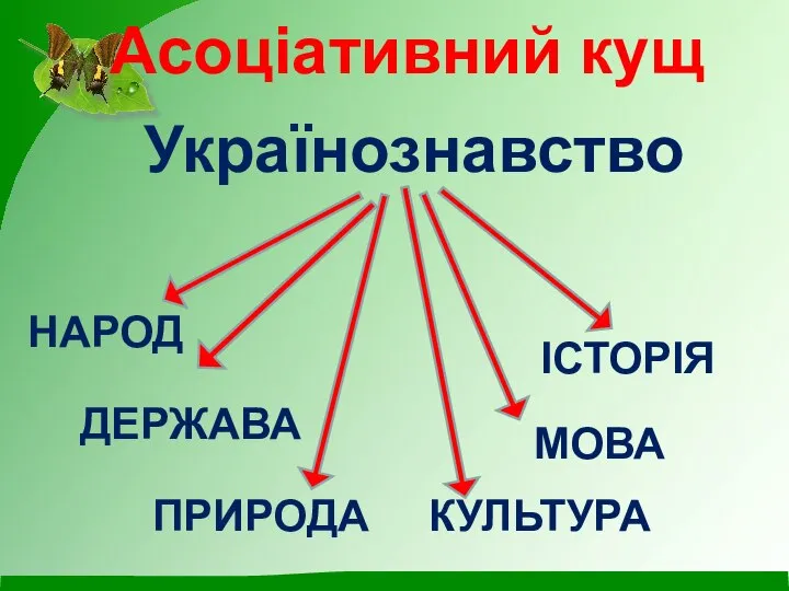 Українознавство Асоціативний кущ НАРОД ДЕРЖАВА ПРИРОДА КУЛЬТУРА МОВА ІСТОРІЯ