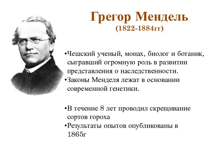 Грегор Мендель (1822-1884гг) Чешский ученый, монах, биолог и ботаник, сыгравший огромную роль