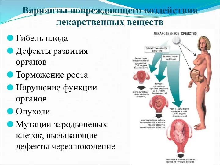 Варианты повреждающего воздействия лекарственных веществ Гибель плода Дефекты развития органов Торможение роста