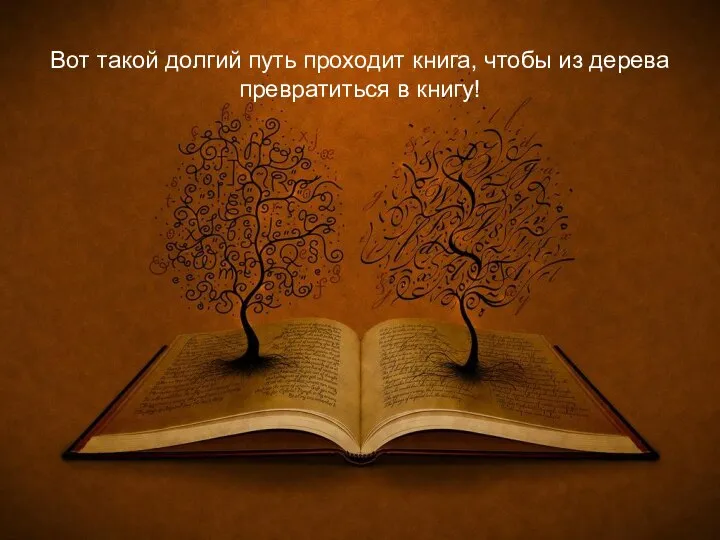 Вот такой долгий путь проходит книга, чтобы из дерева превратиться в книгу!