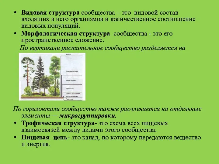 Видовая структура сообщества – это видовой состав входящих в него организмов и