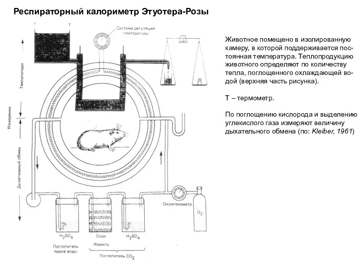 Респираторный калориметр Этуотера-Розы Животное помещено в изолированную камеру, в которой поддерживается пос-