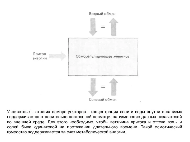 У животных - строгих осморегуляторов - концентрация соли и воды внутри организма