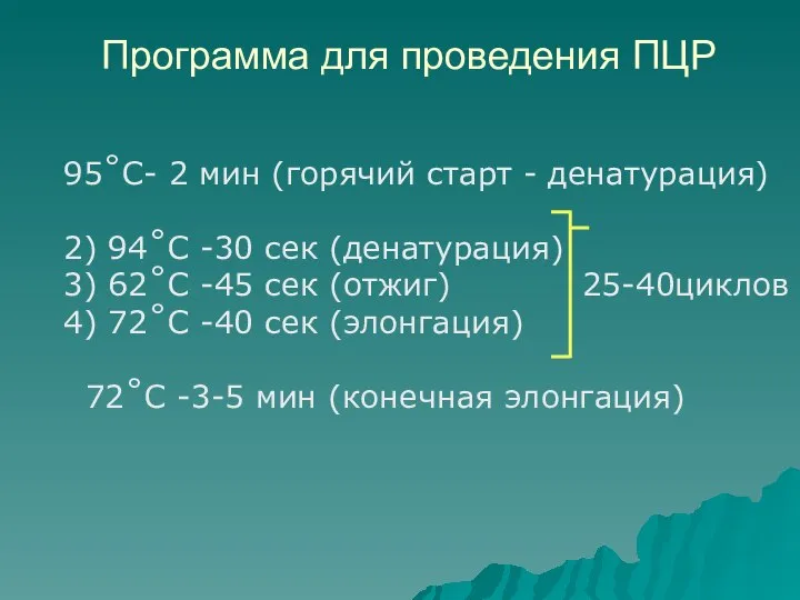 95˚C- 2 мин (горячий старт - денатурация) 2) 94˚С -30 сек (денатурация)