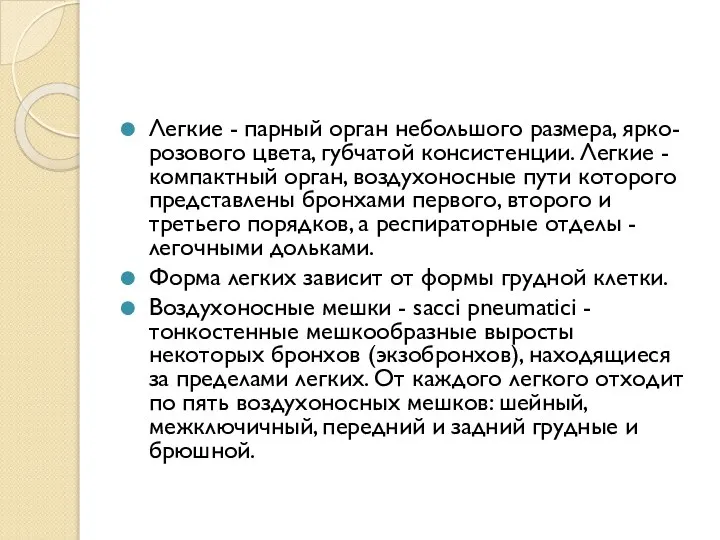 Легкие - парный орган небольшого размера, ярко-розового цвета, губчатой консистенции. Легкие -