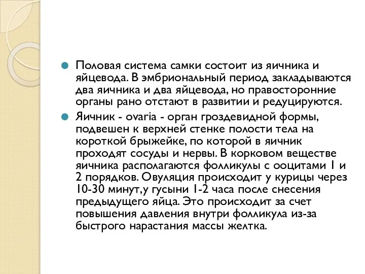 Половая система самки состоит из яичника и яйцевода. В эмбриональный период закладываются