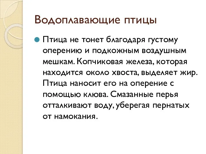 Водоплавающие птицы Птица не тонет благодаря густому оперению и подкожным воздушным мешкам.