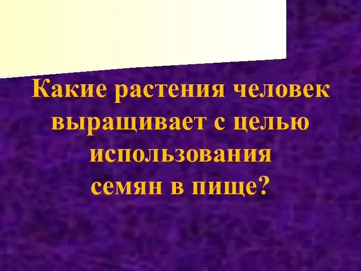 Какие растения человек выращивает с целью использования семян в пище?