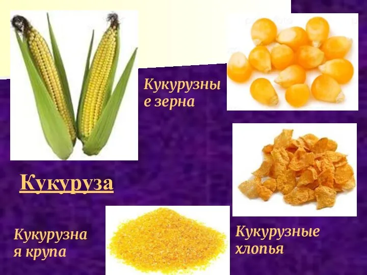 Кукуруза Кукурузная крупа Кукурузные хлопья Кукурузные зерна