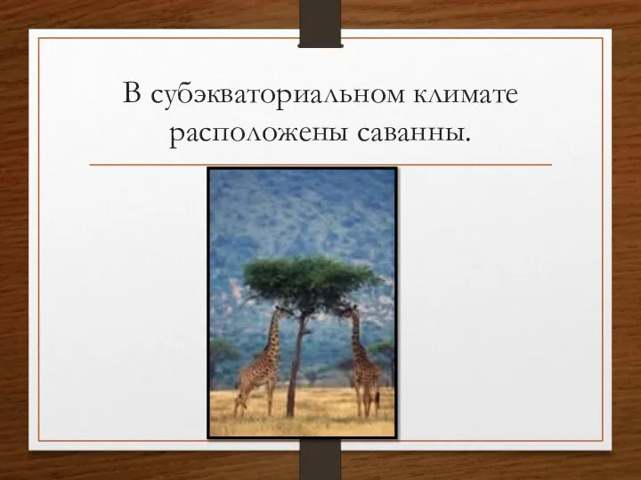 В субэкваториальном климате расположены саванны.