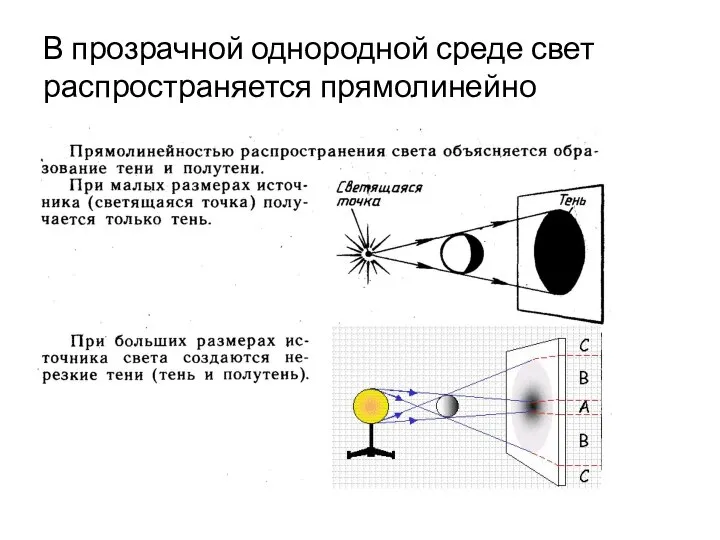В прозрачной однородной среде свет распространяется прямолинейно