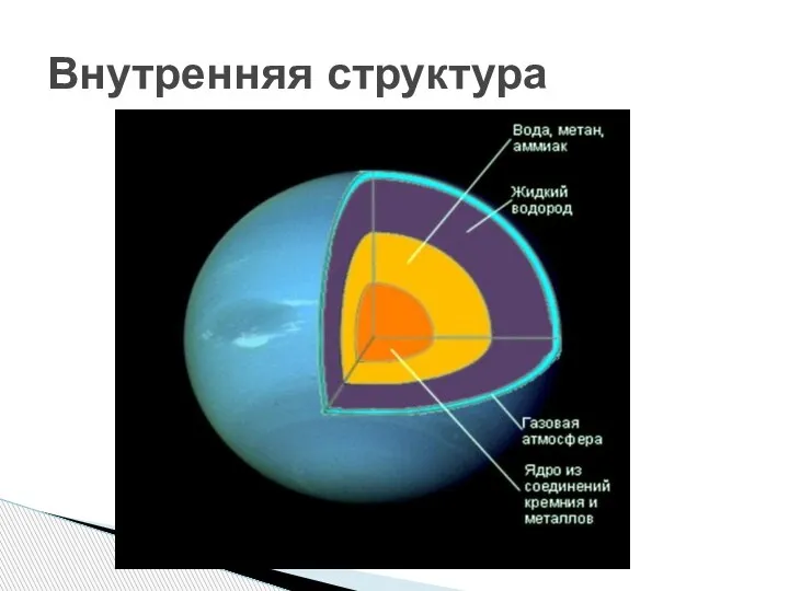 Внутренняя структура