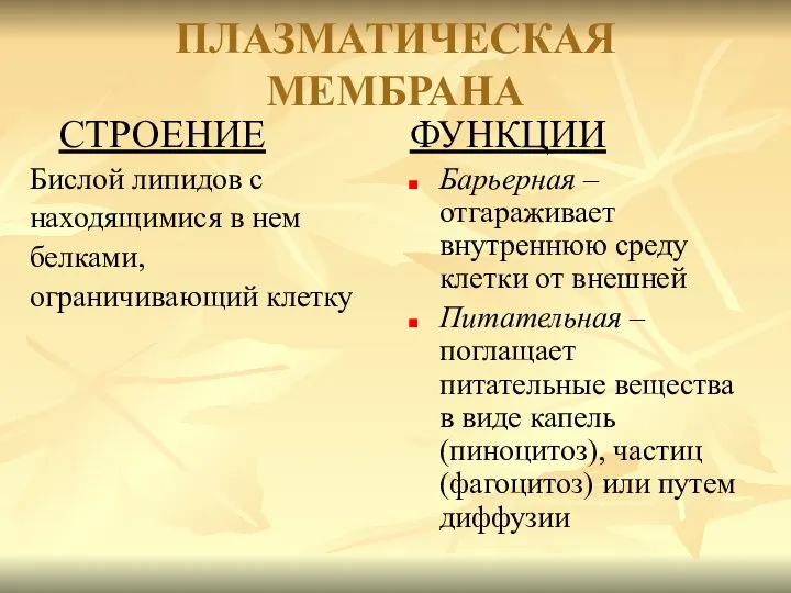 ПЛАЗМАТИЧЕСКАЯ МЕМБРАНА СТРОЕНИЕ Бислой липидов с находящимися в нем белками, ограничивающий клетку