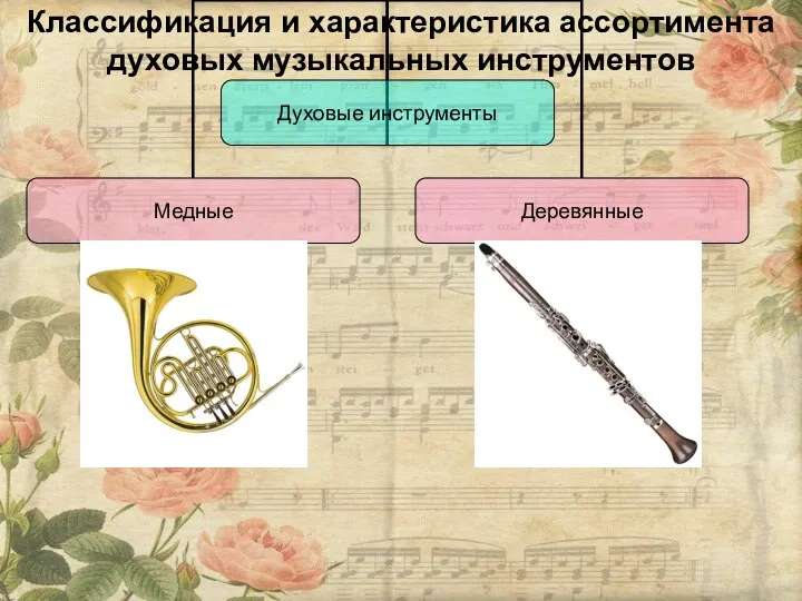 Классификация и характеристика ассортимента духовых музыкальных инструментов