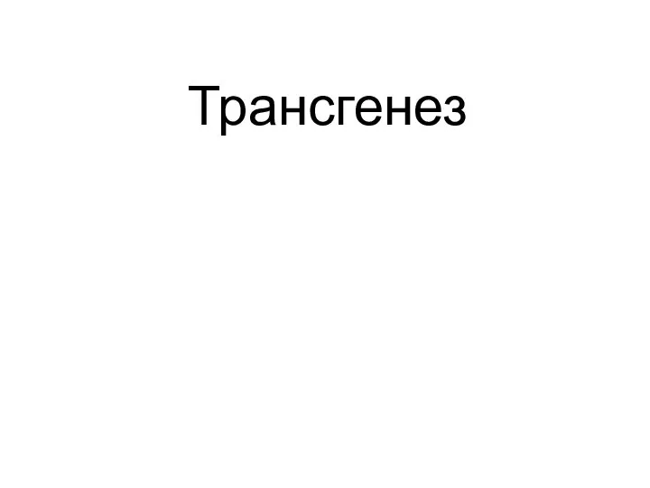 Трансгенез