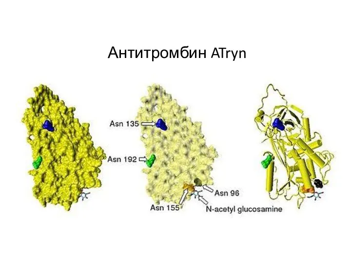 Антитромбин ATryn