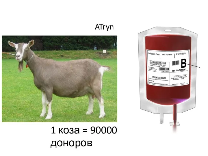 1 коза = 90000 доноров ATryn