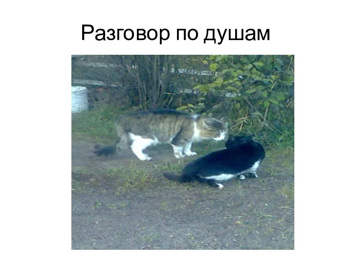 Разговор по душам