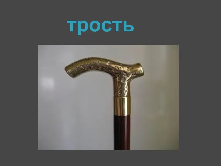 трость