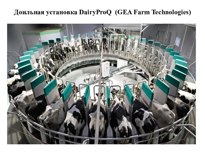 Доильная установка DairyProQ (GEA Farm Technologies)