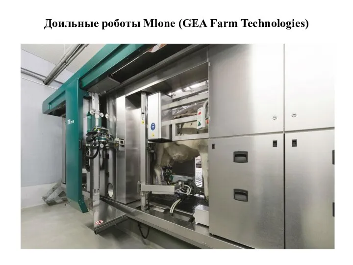 Доильные роботы Mlone (GEA Farm Technologies)