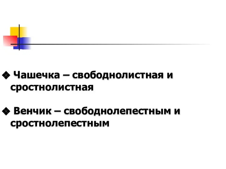 Чашечка – свободнолистная и сростнолистная Венчик – свободнолепестным и сростнолепестным