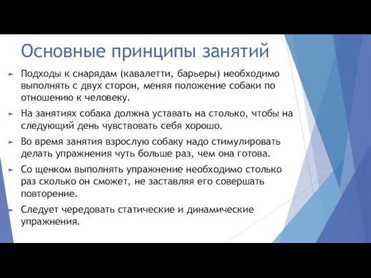 Основные принципы занятий Подходы к снарядам (кавалетти, барьеры) необходимо выполнять с двух