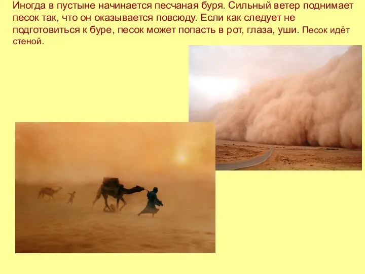 Иногда в пустыне начинается песчаная буря. Сильный ветер поднимает песок так, что