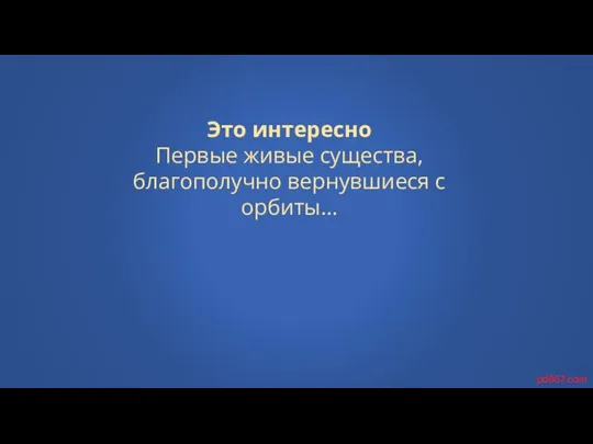 Это интересно Первые живые существа, благополучно вернувшиеся с орбиты… pd667.com