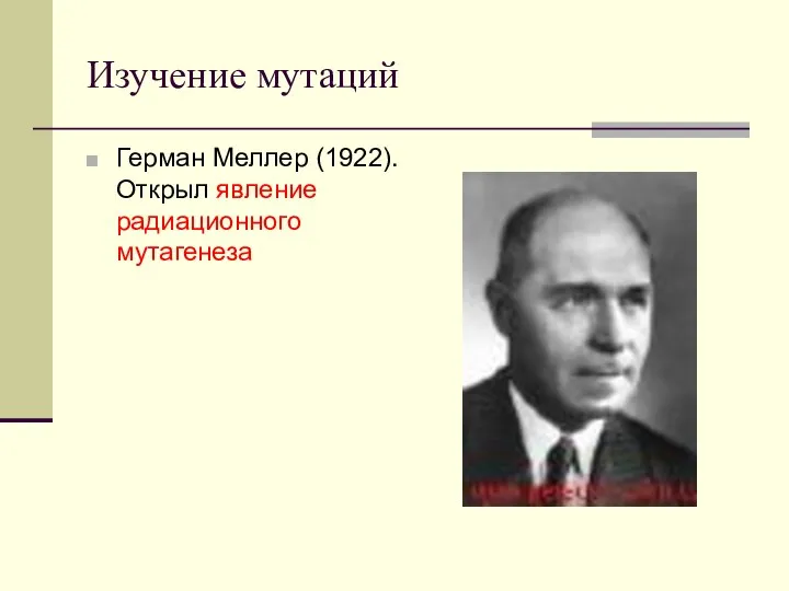 Изучение мутаций Герман Меллер (1922). Открыл явление радиационного мутагенеза