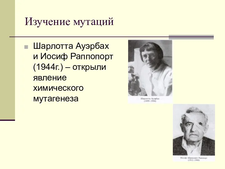 Изучение мутаций Шарлотта Ауэрбах и Иосиф Раппопорт (1944г.) – открыли явление химического мутагенеза