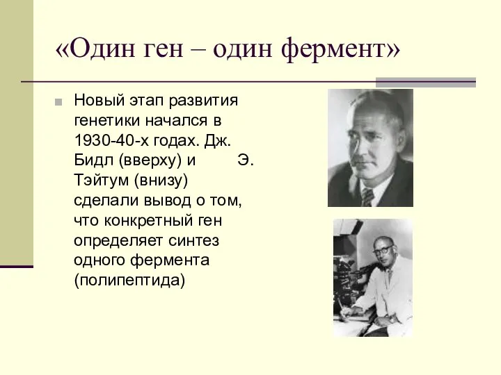 «Один ген – один фермент» Новый этап развития генетики начался в 1930-40-х