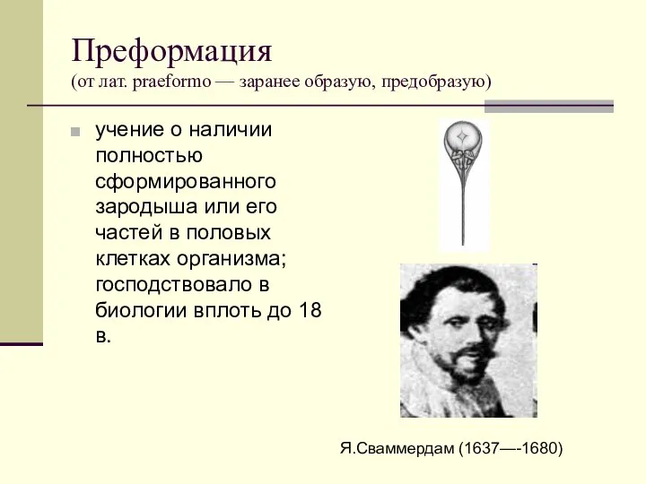 Преформация (от лат. praeformo — заранее образую, предобразую) учение о наличии полностью