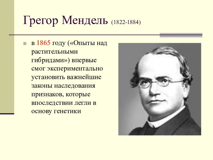 Грегор Мендель (1822-1884) в 1865 году («Опыты над растительными гибридами») впервые смог